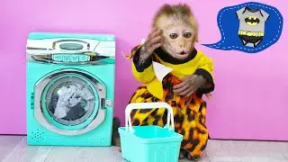 Monkey Baby Bon Bon harvest fruit in the garden and eat with puppy and duckling at the pool