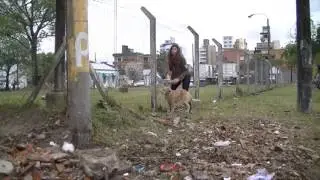 Spot publicitario 