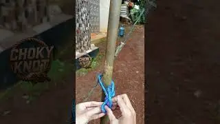 Trick knot rope  #knot #diy #activity #rope #adventure