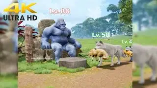 Обзор рекламы Wolf Game 🐾❌: Территория потеряна, стая побеждена