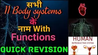11 Body systems explained|skeletal system, circulatory system,muscular system with function|#surpbox