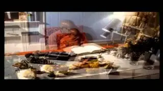 The Absolute Science HD