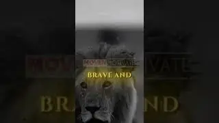 Daily Motivation #warrior #God #enemy #courageous #armofGod #brave #fearless #keeppushing
