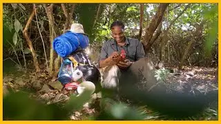 Documentaries on K24 Plus