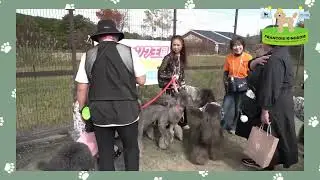 フランソワ王国東北オフ会2025.10.18