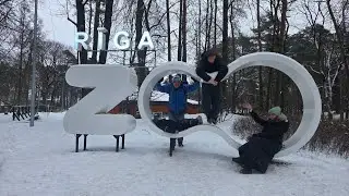 Visiting Zoo in Riga 