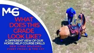 What Does This Grade Look Like? | The Horse Guru - Michael Gascon