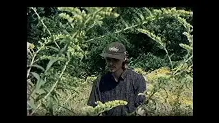 SLEEPWALKER - IF THIS DOESN'T LAST (Music Video)