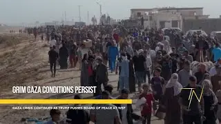 Grim Gaza conditions persist as Trump proposes Board of Peace at WEF