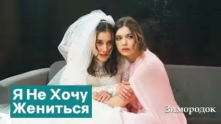 Принудительный Брак Суна | Зимородок
