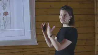 Почему биологи думают, что виды реальны?