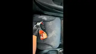 PG Fabric Cleaner for Your Car Seat