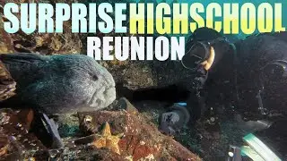 Surprise Underwater Highschool Reunion at Tyee Cove | Scuba Diving Vancouver Island, BC, Canada