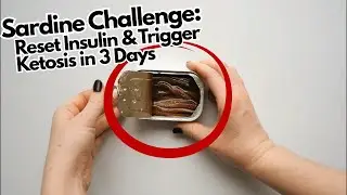 Sardine Challenge EXPOSED: The Keto Trick, Insulin Fear & Hidden Controversies