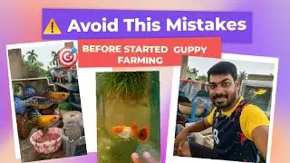 👉 Before Starting Guppy Farm -Avoid This Mistakes l Guppy Farming Tips 2025 #guppyfish #guppyfarming