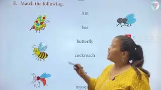 Chapter 10 Ladybug! Ladybug | English Reader Class 2 | Smart Lecture | Kohinoor Study Well