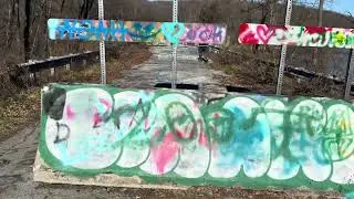 Exploring parts of Reading, PA and it's forests 2/06/2024 vlog 11