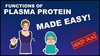 Functions of PLASMA PROTEIN