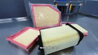 Three filter system: Air & Cabin & Oil & Fuel, the respiratory system and blood purification system