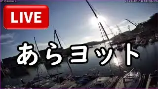 【24時間LIVE】ヨットのマスト上からの海と風と空と|#ヨット シングルハンド ライブ