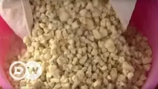 Baobab - the zero-waste superfood | DW English