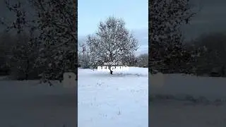 Belgian Winter Mini Vlog | JoshiBaba