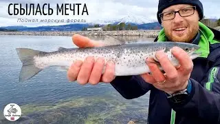 СБЫЛАСЬ РЫБАЦКАЯ МЕЧТА! МОРСКАЯ ФОРЕЛЬ. Наконец то я поймал её. Рыбалка в Норвегии. Норвегия,рыбалка