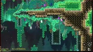 Celeste - Breeze Contest - hyacinth - MelonOfDeWeek