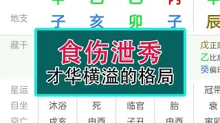 食伤泄秀(命理八字知识分享)#易经 #中华文化 #風水 #八字 #生肖 #人生感悟