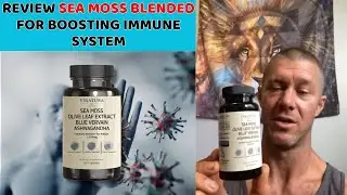 Review Sea Moss Benefits for Boosting Immune System | From Vinatura Supplements