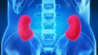 4 Minute Healing Sounds Qi Gong for Healthy Kidneys!