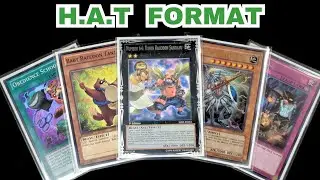 Baby Raccoon Pile Deck Profile! | 2014 Yu-Gi-Oh! WCQ HAT Format