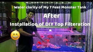 Water clarity of My 7 Feet Monster Tank After Installation of DIY Top Filteraion