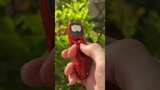 🔔 LED Digital Tally Counter - Product Link in Bio ( # 1776 ) ‪@MaviGadgets‬