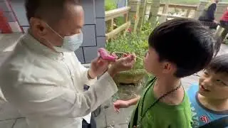 大溪 吹糖人