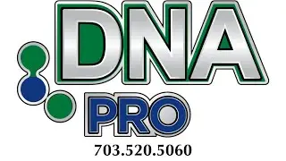 Alexandria Non-Toxic Steam Carpet Cleaning 703-520-5060 Carpet Cleaners Springfield VA