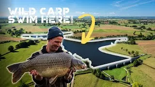 Darrell Peck Carp Fishing for Wild French Carp | Extract