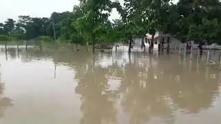 Flood in Bihar 2017