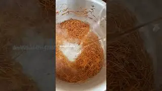 Indulge in #flavors that transport you to different #places.on #Wednesday, #Vermicelli #Rice#ghana