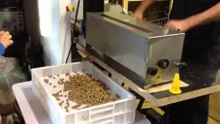 Boilie rolling