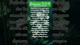 Romans 13:11-14 #faith #love #inspirational #message #whatsappstatus #motivate #gratitude #godisg...