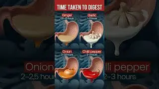 How long does it take for spicy foods to digest? 🔥😱 #animation #health #food
