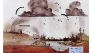 Acid Rain