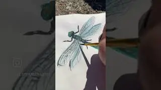 When you find a dragonfly wing, that&rsquo;s a sign to paint one obviously