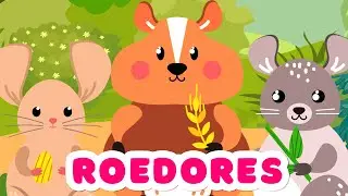 Roedores  Animales para ni&ntilde;os  Animales en espa&ntilde;ol