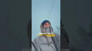 Тг krofizy