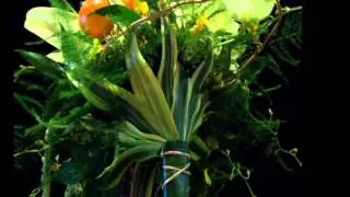 Wedding Flowers - Albuquerque Wedding Florist