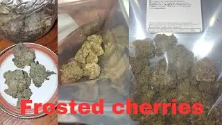 cheapest half oz strain review  #foryoupage #reccomended  #cannabiseducation