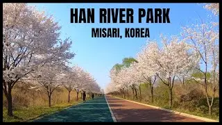 Treadmill Video, Virtual Running, Han River Park at Misari, South Korea