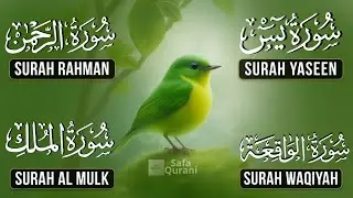 Beautiful Surah Yaseen (Yasin) | Surah Rahman | Surah Waqiah | Surah Mulk